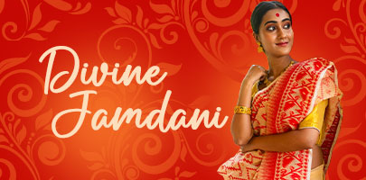 Divine Jamdani