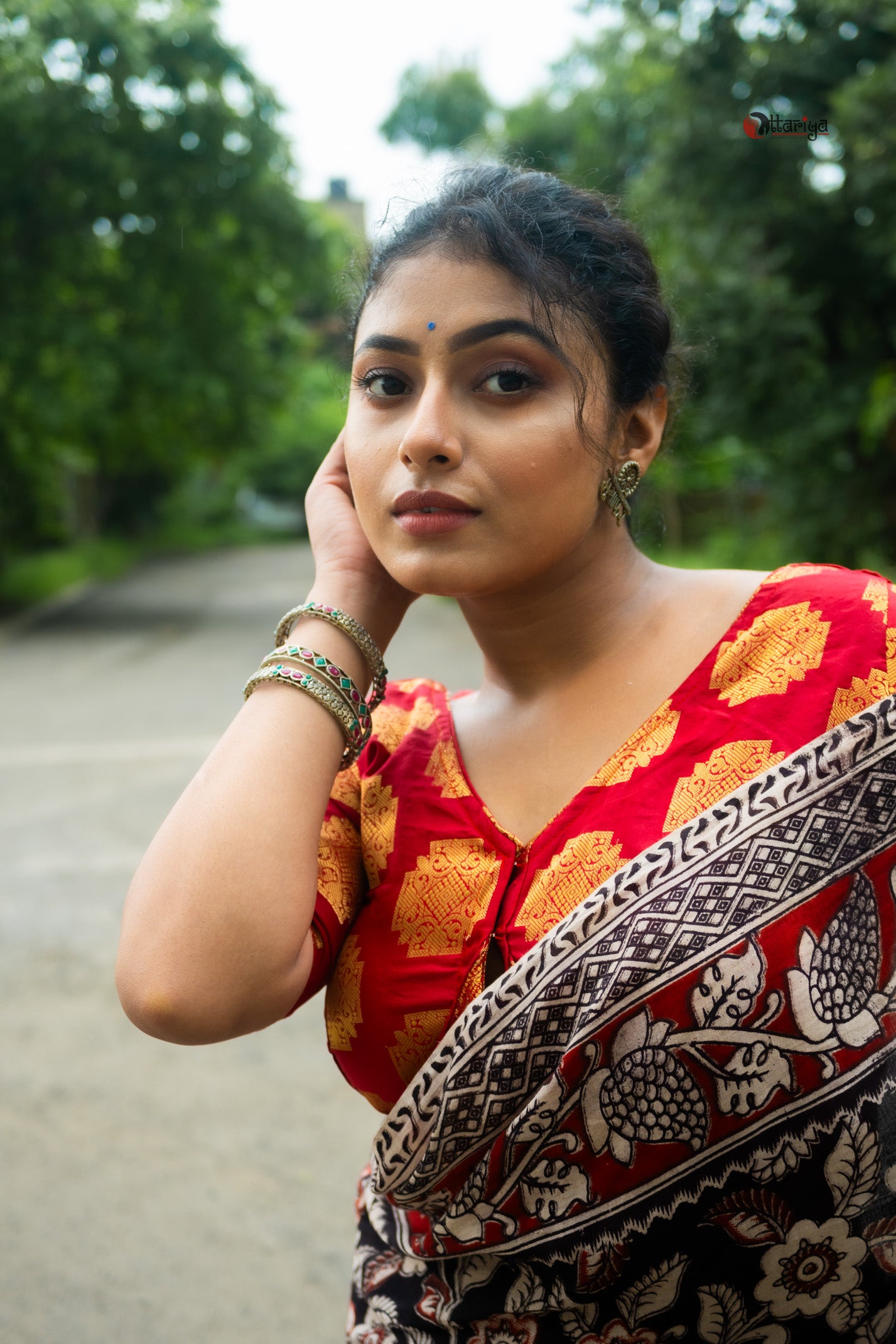 Gul e shabnam Blouse