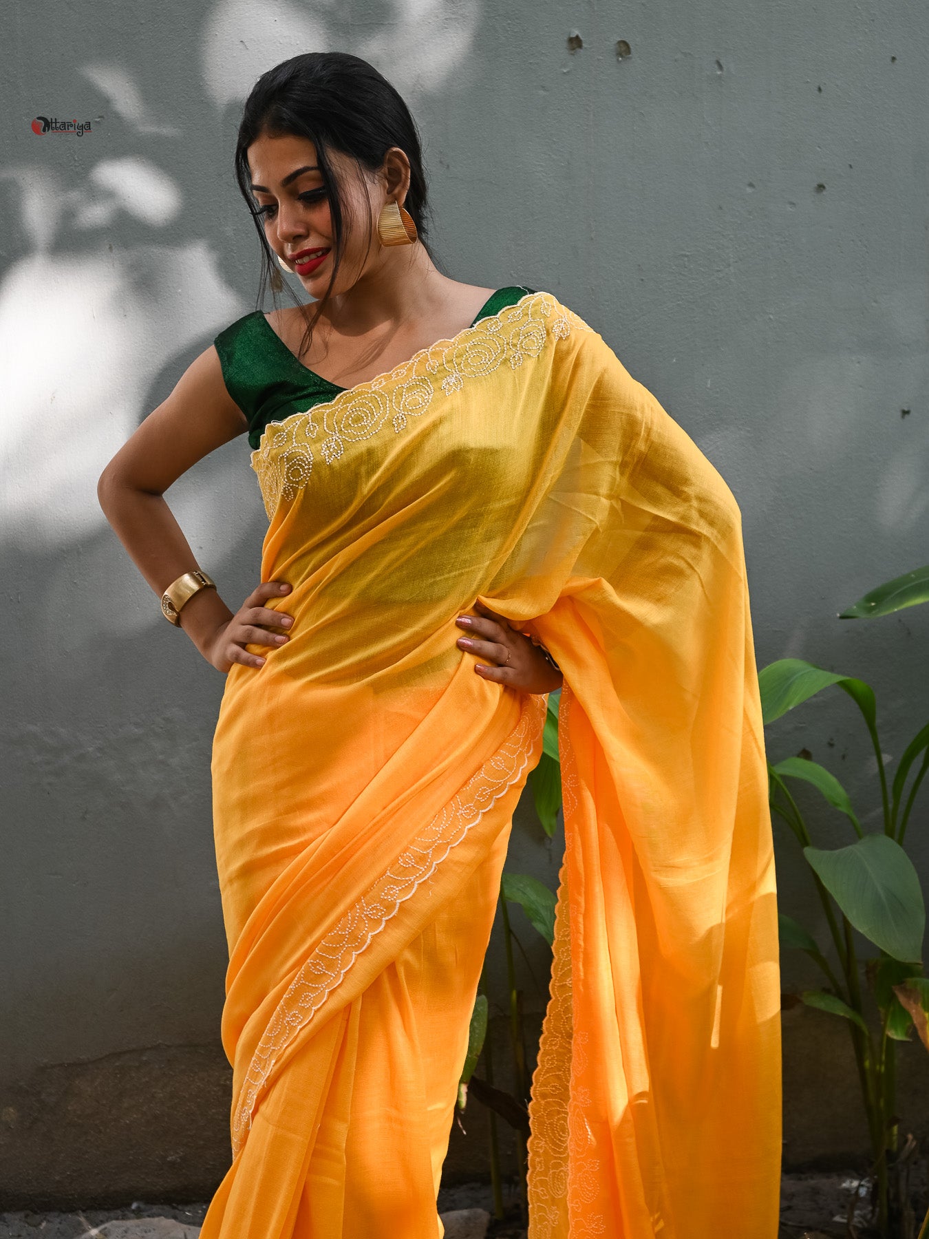 Holde ful Saree