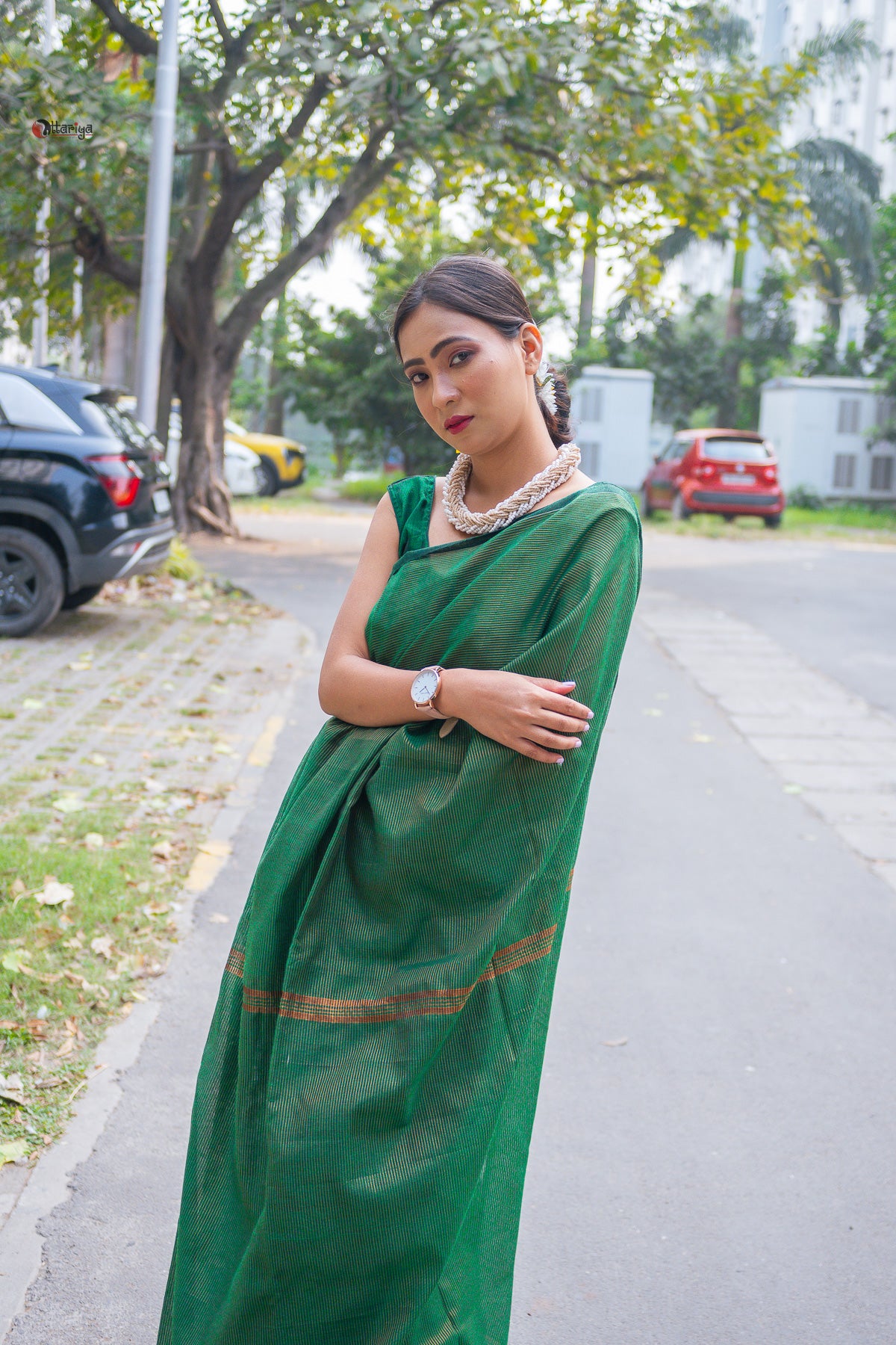 Green Shine In Party Handloom Cotton Saree