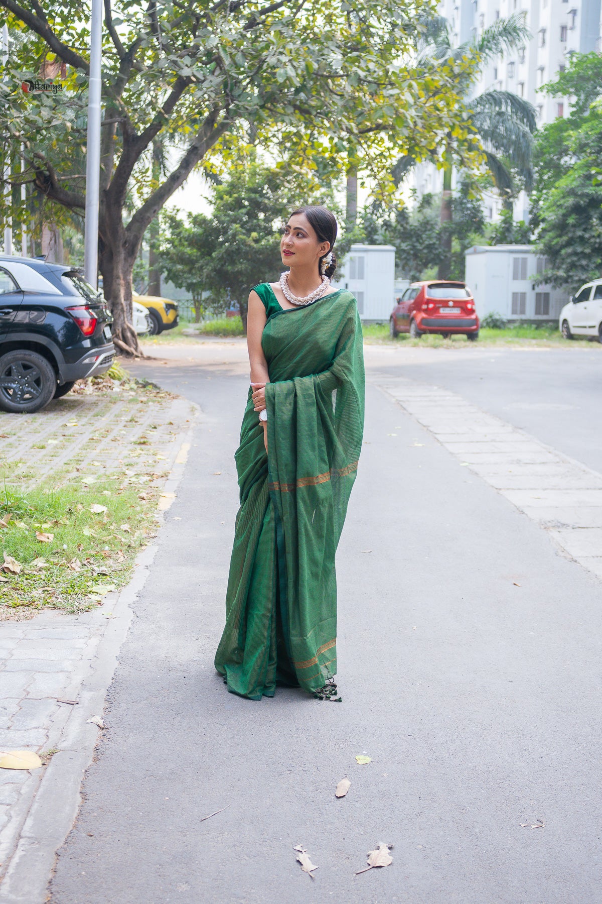 Green Shine In Party Handloom Cotton Saree