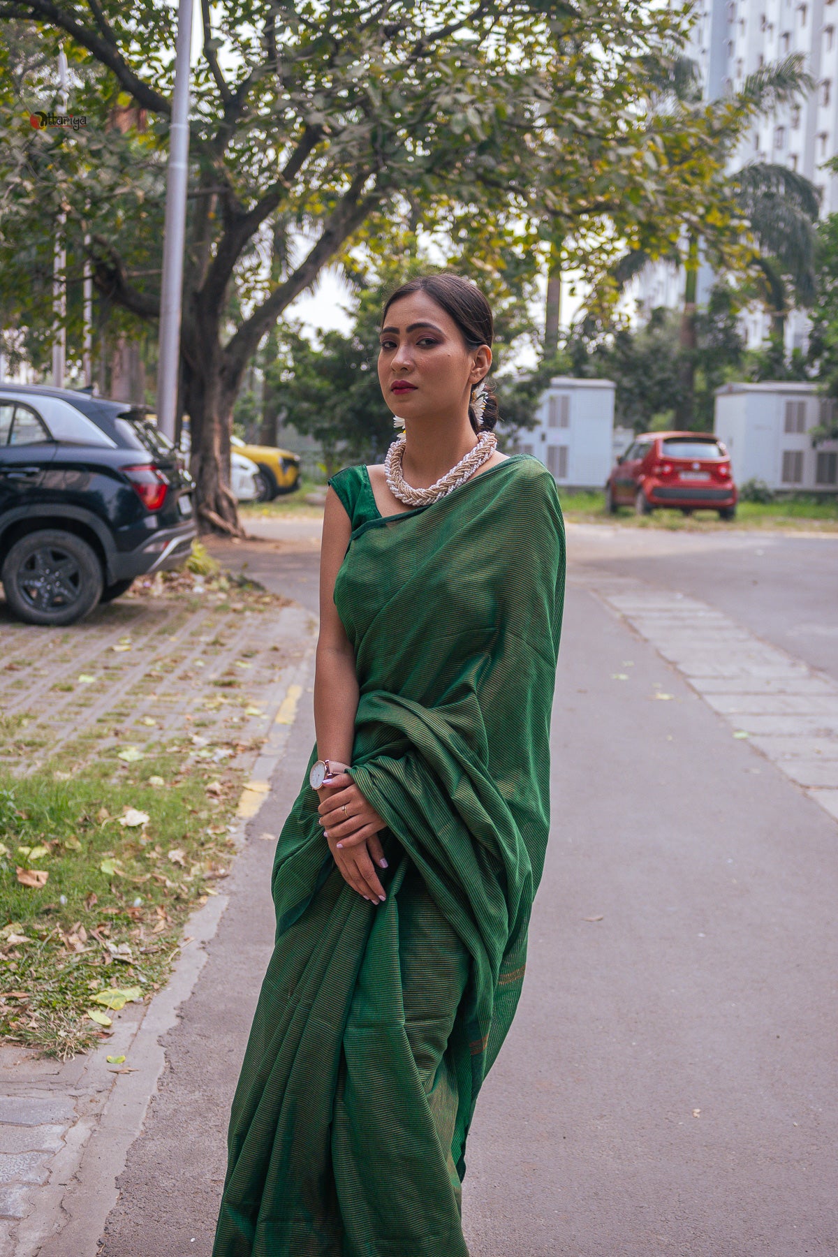 Green Shine In Party Handloom Cotton Saree