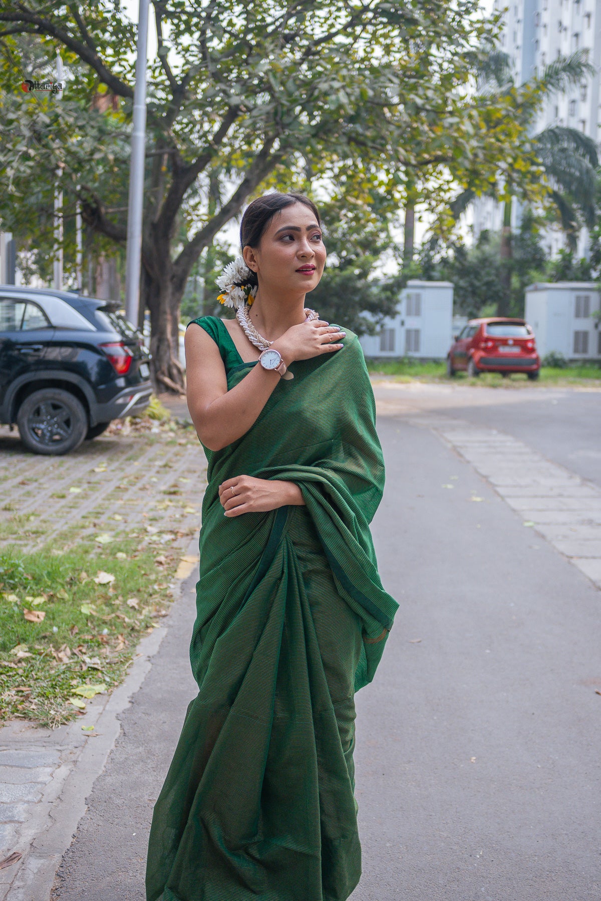 Green Shine In Party Handloom Cotton Saree