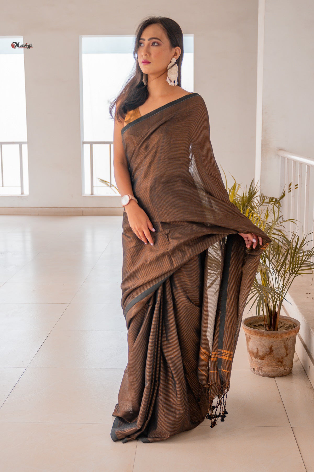 Black Shine In Party Handloom Cotton Saree
