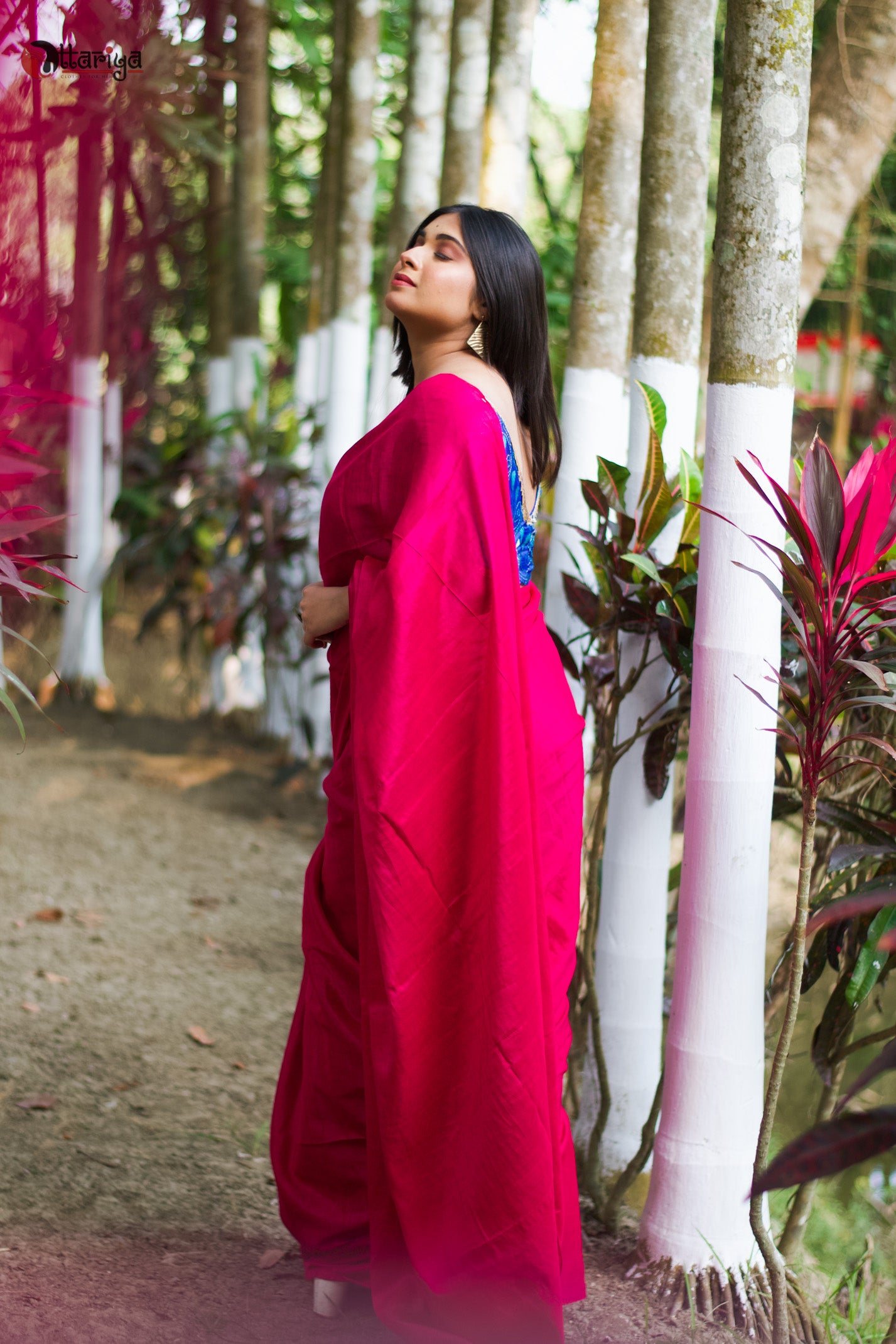 Pink Sitara Saree