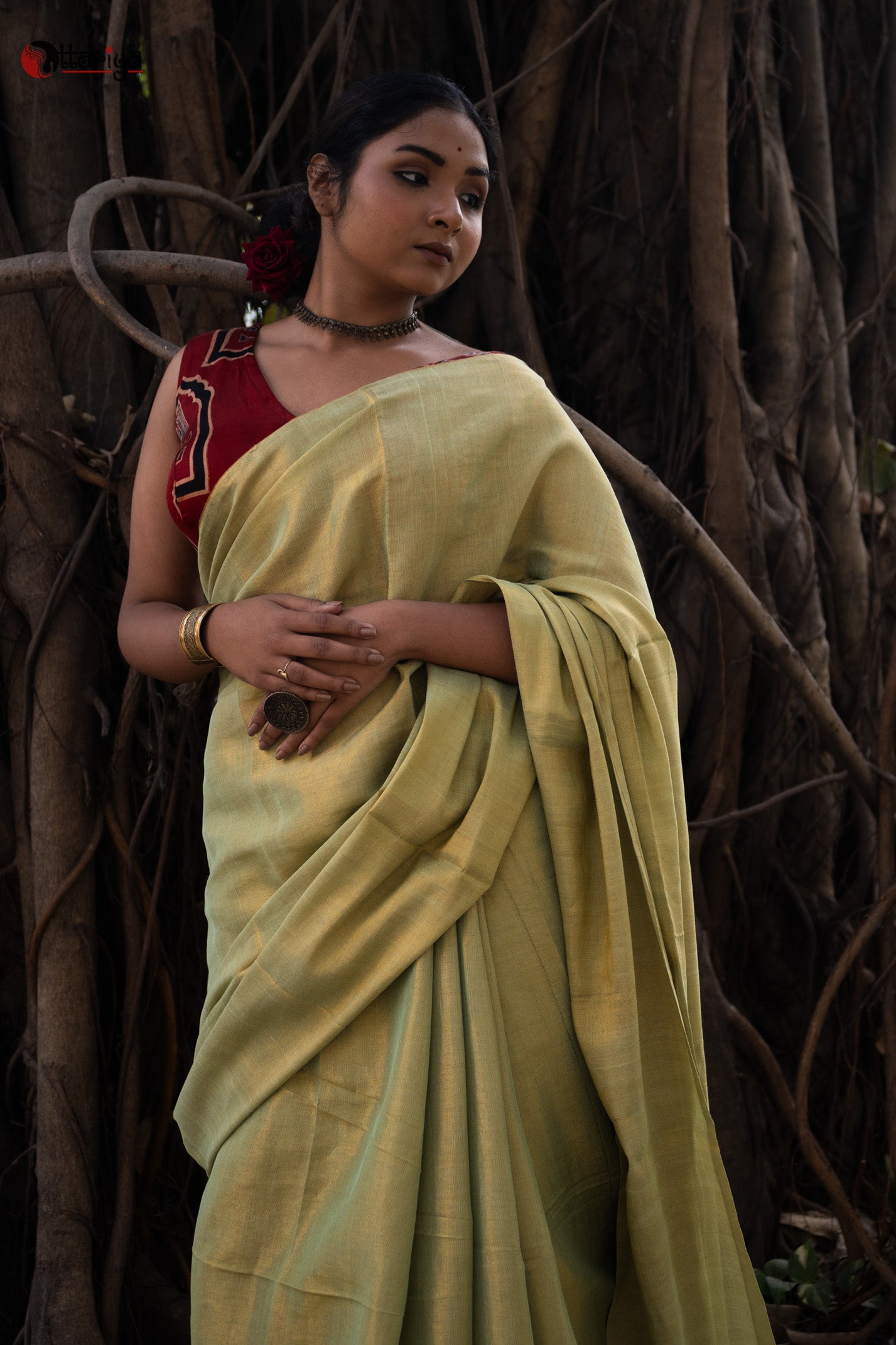 Gold green Makhmal Silk Saree