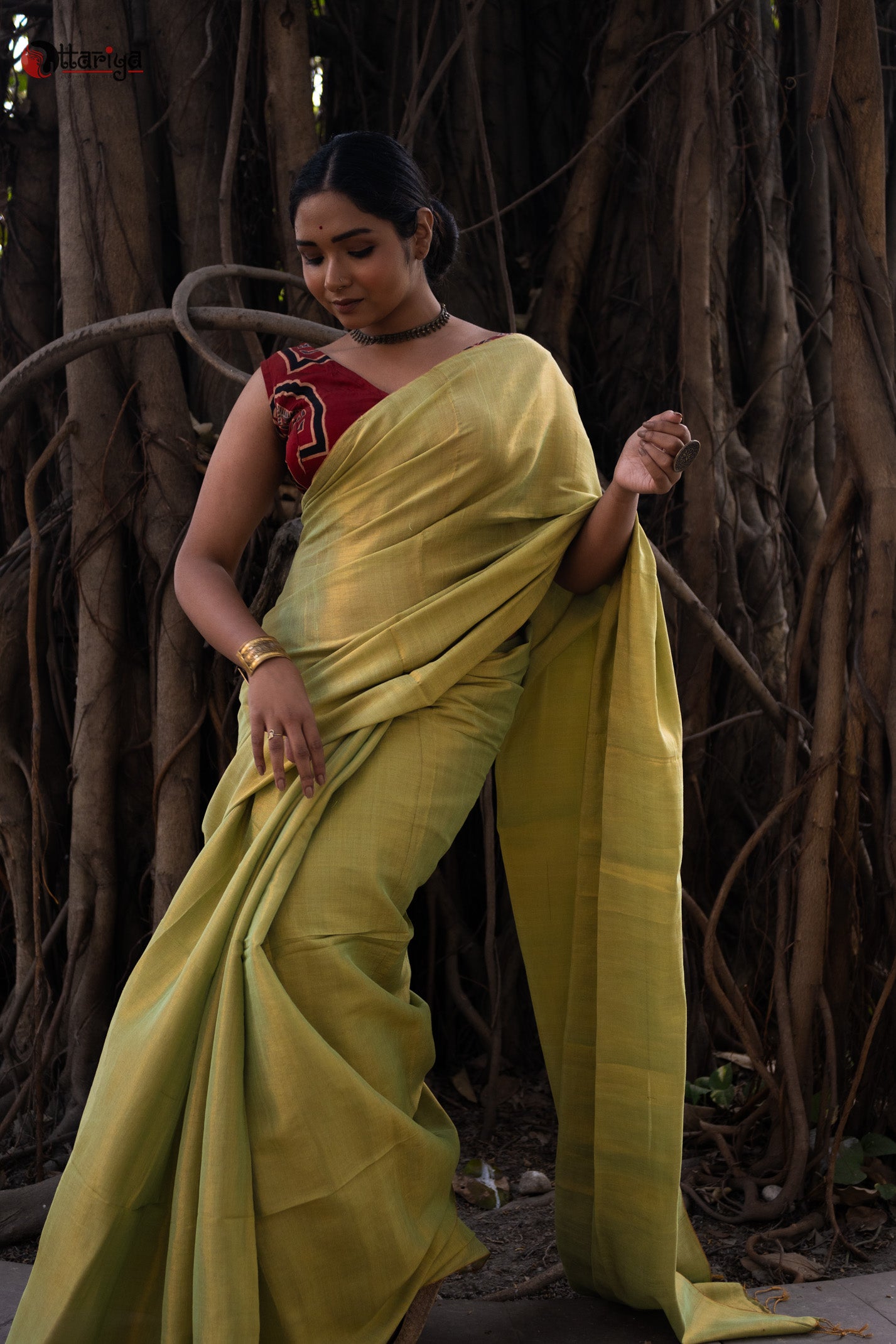 Gold green Makhmal Silk Saree