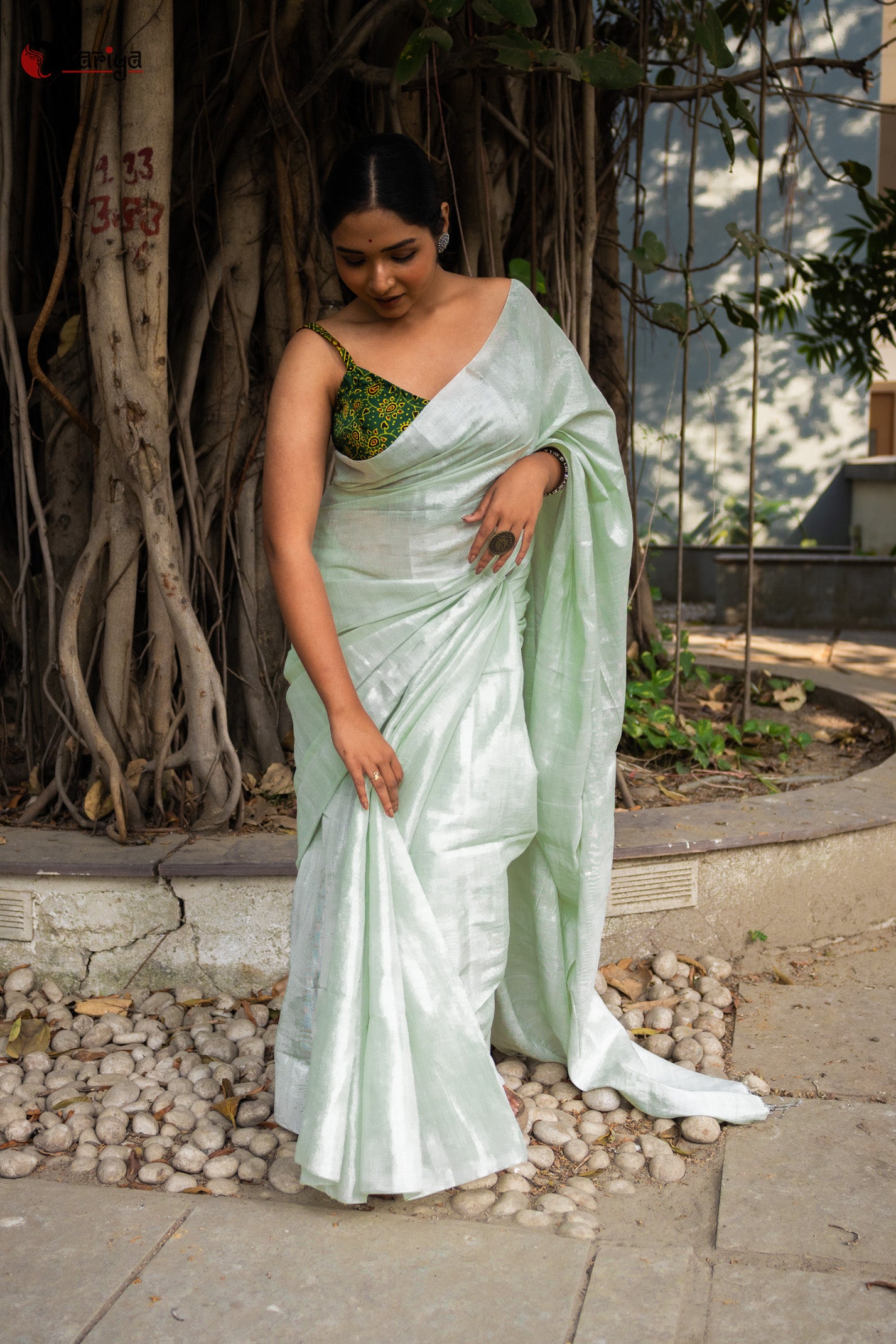 Sitara Saree