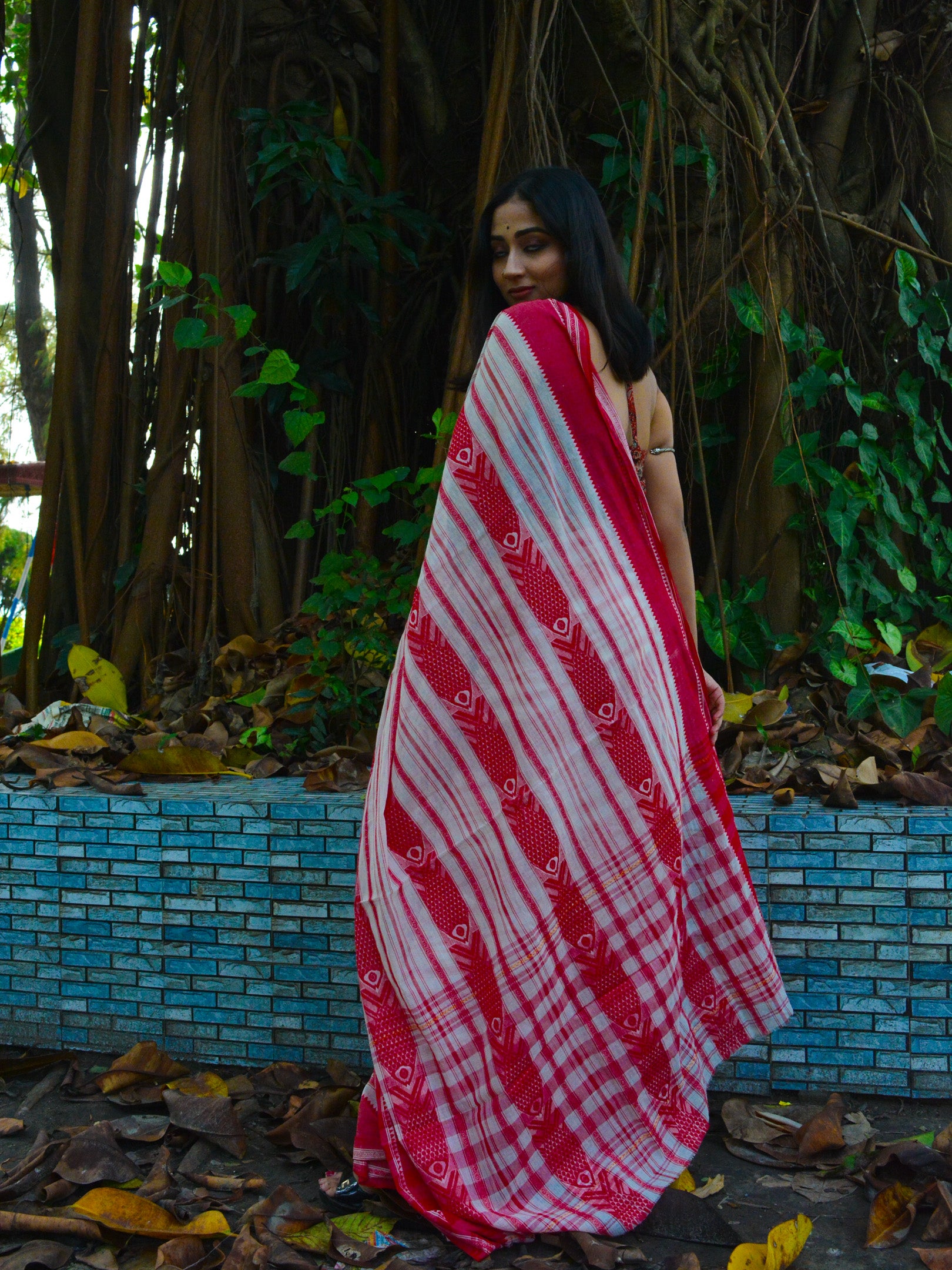 Naksha Mach Saree
