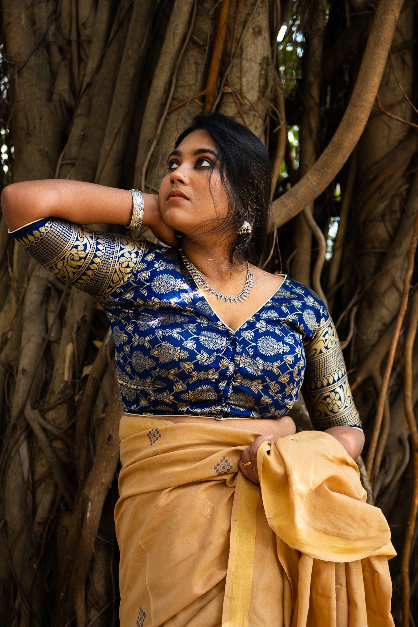 Blue Banarasi blouse