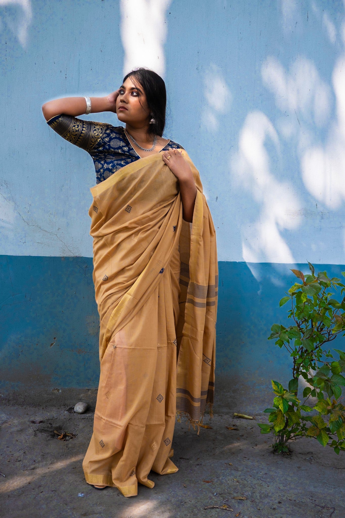 Blue Banarasi blouse