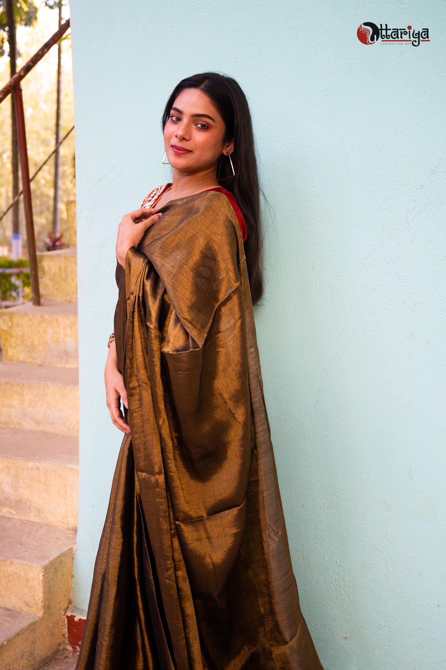 Bronze Makhmal Saree - Uttariya