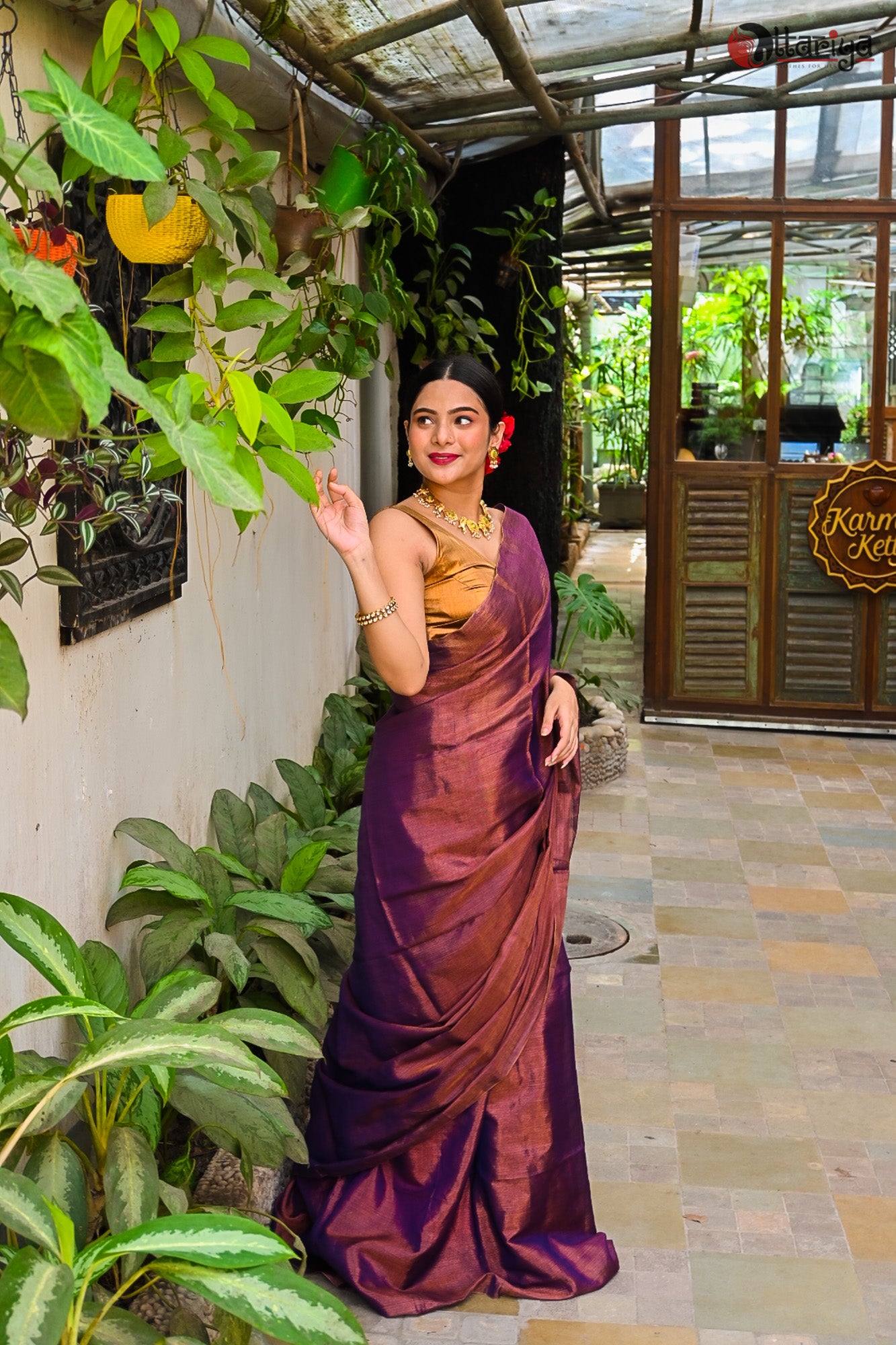 Wine Mulberry Saree