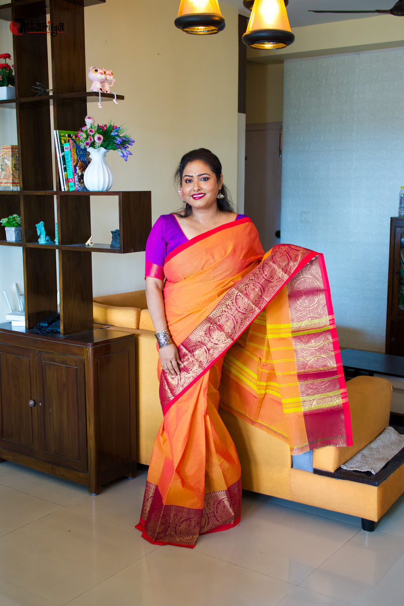 Golden Twilight Cotton Saree