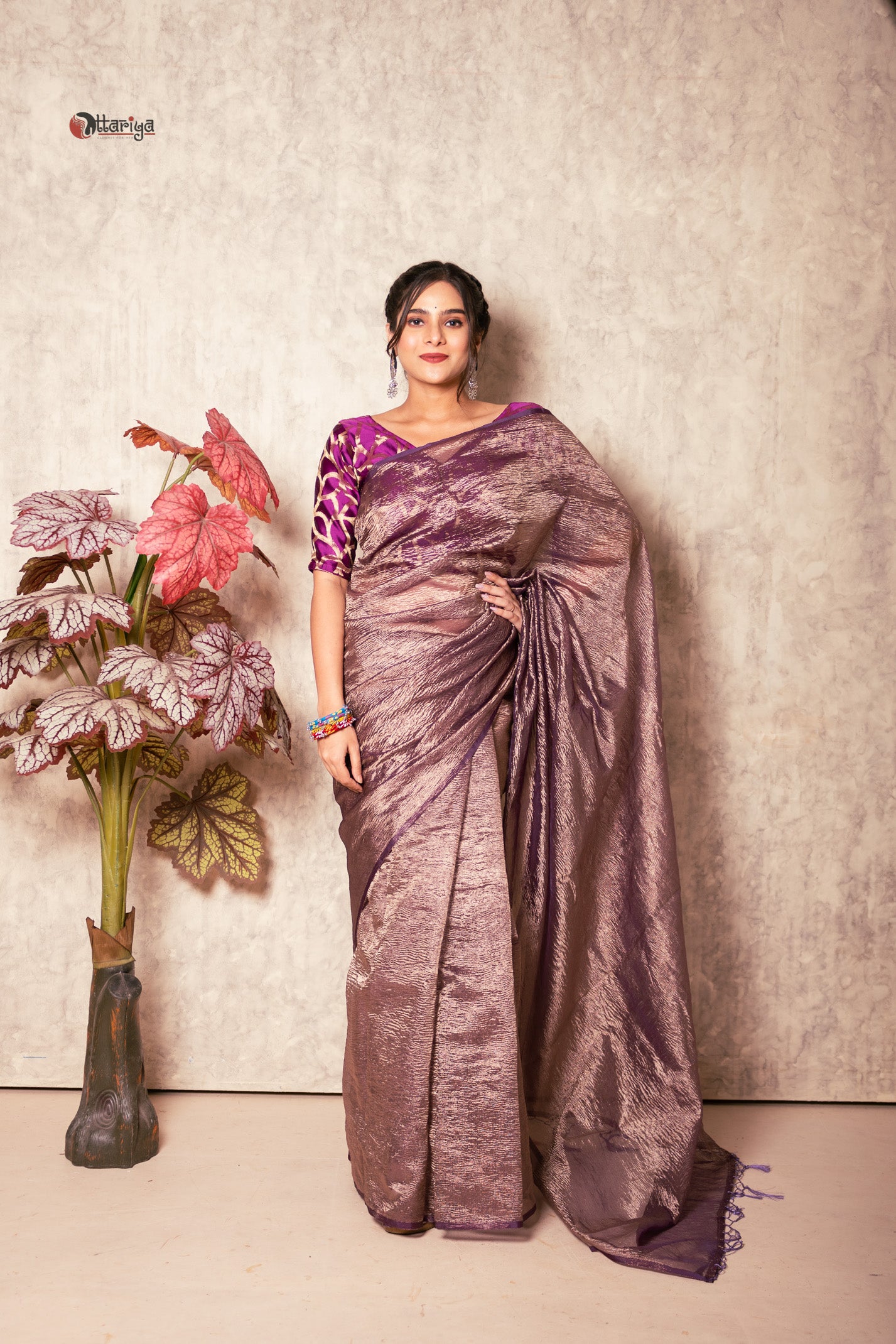 Velvet Mist Delight Saree