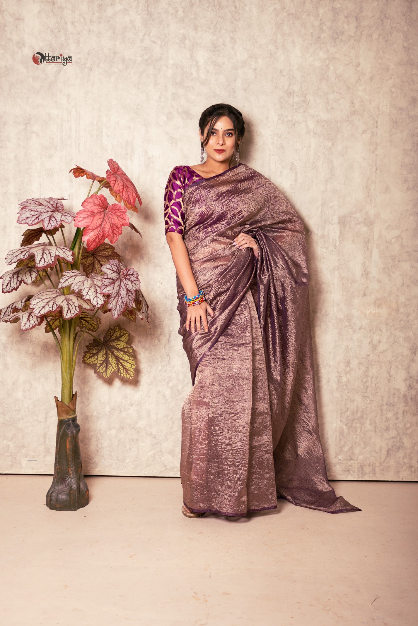 Velvet Mist Delight Saree