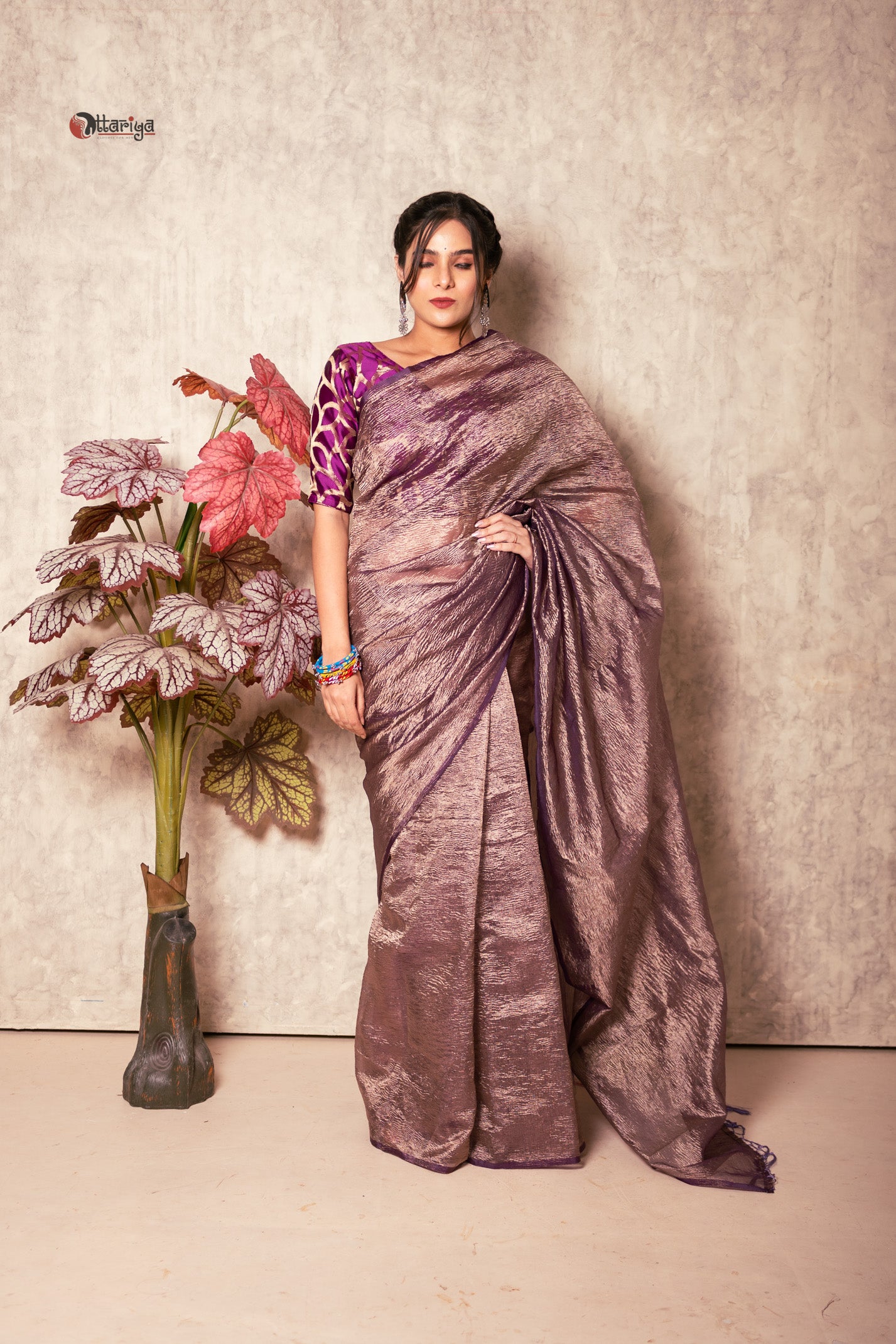 Velvet Mist Delight Saree