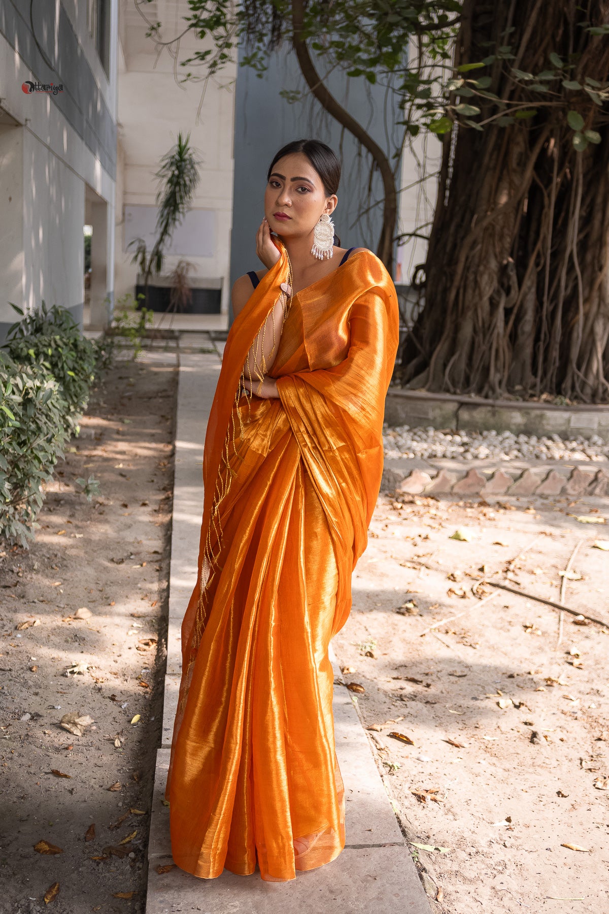 Gold a love Tissue Saree