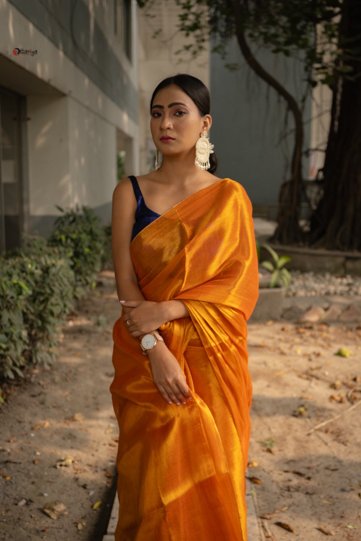 Gold a love Tissue Saree