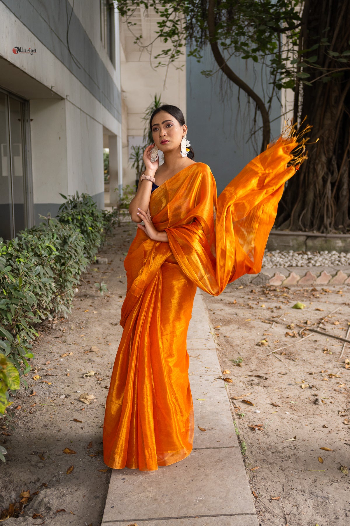 Gold a love Tissue Saree