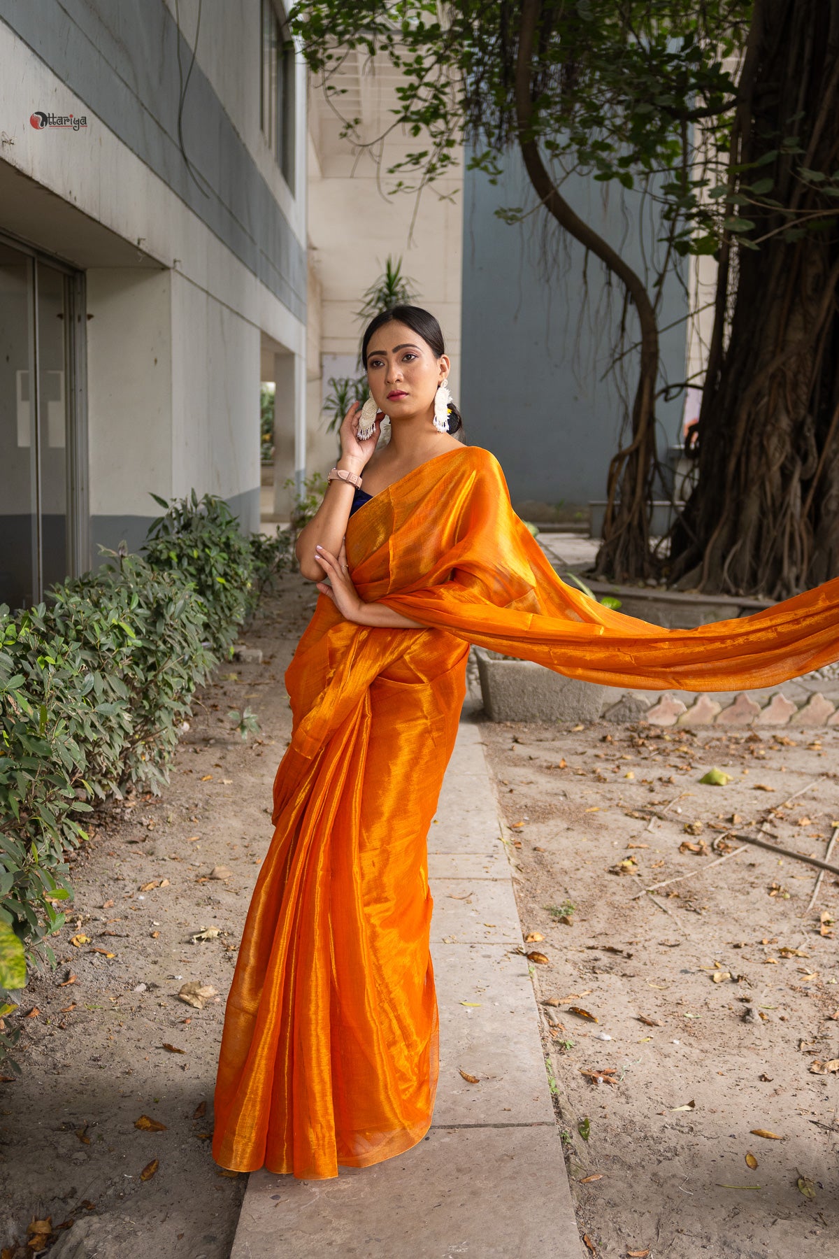 Gold a love Tissue Saree