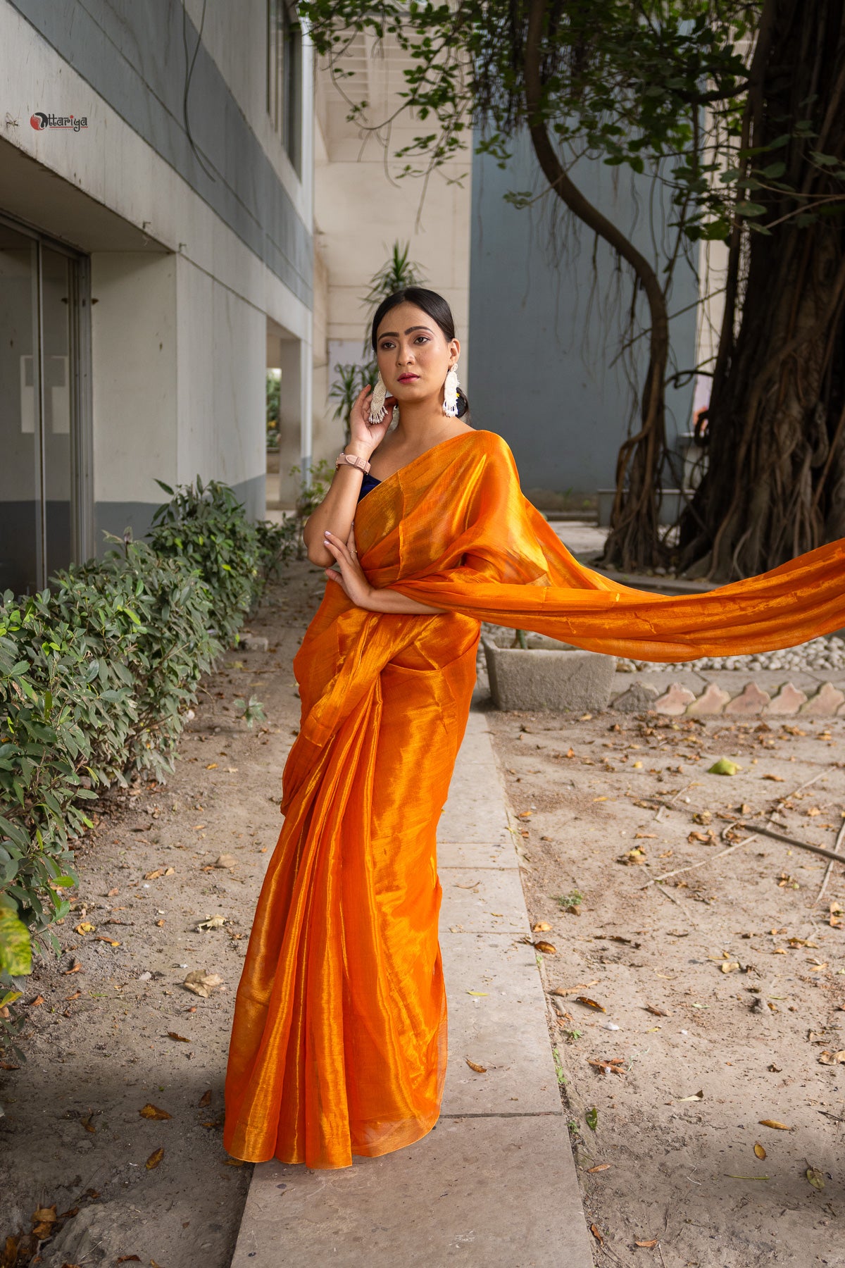 Gold a love Tissue Saree