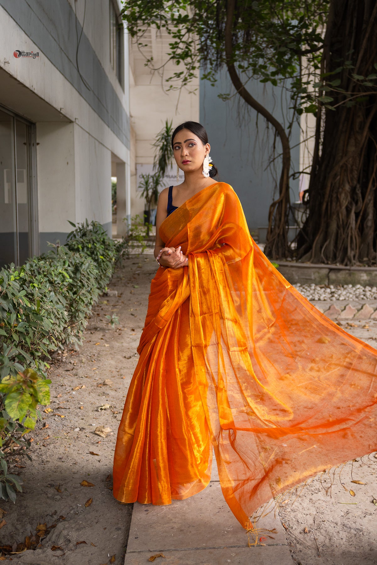 Gold a love Tissue Saree