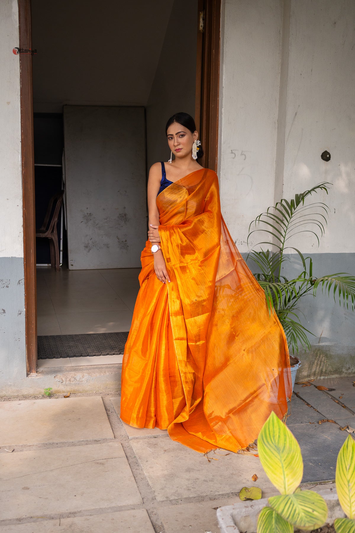 Gold a love Tissue Saree