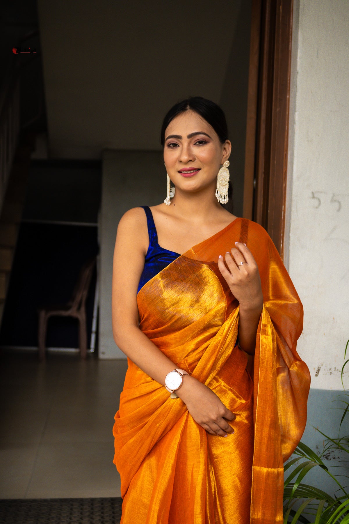 Gold a love Tissue Saree