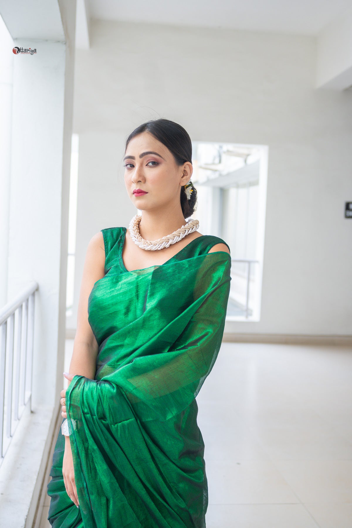 Green on the notch Tissue silk Saree