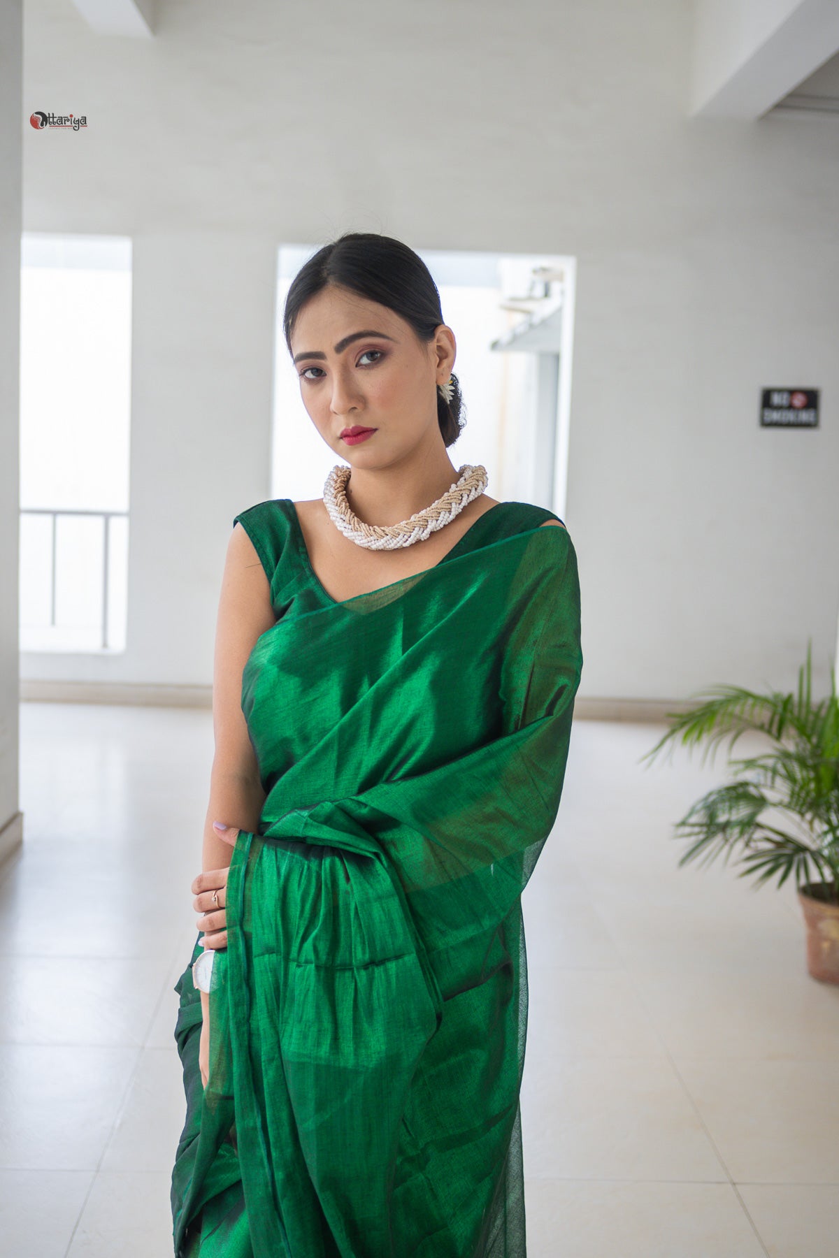 Green on the notch Tissue silk Saree