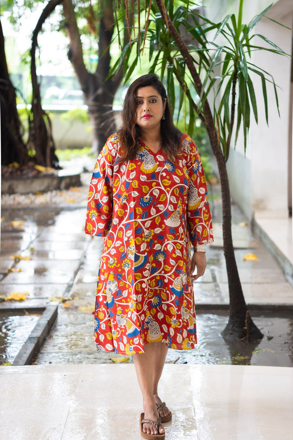 Chitrarekha Silk Dress