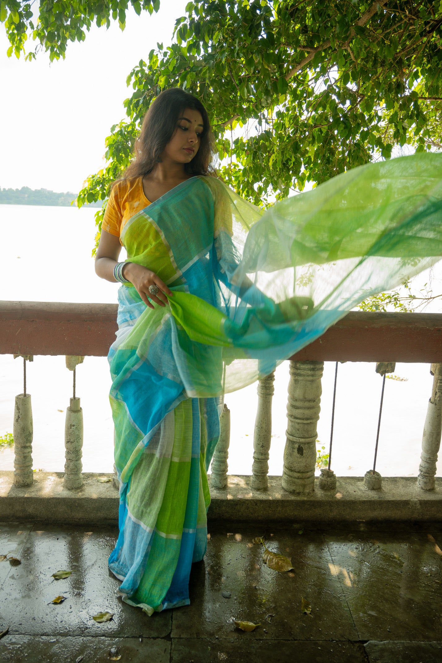 Love of nature Linen Saree