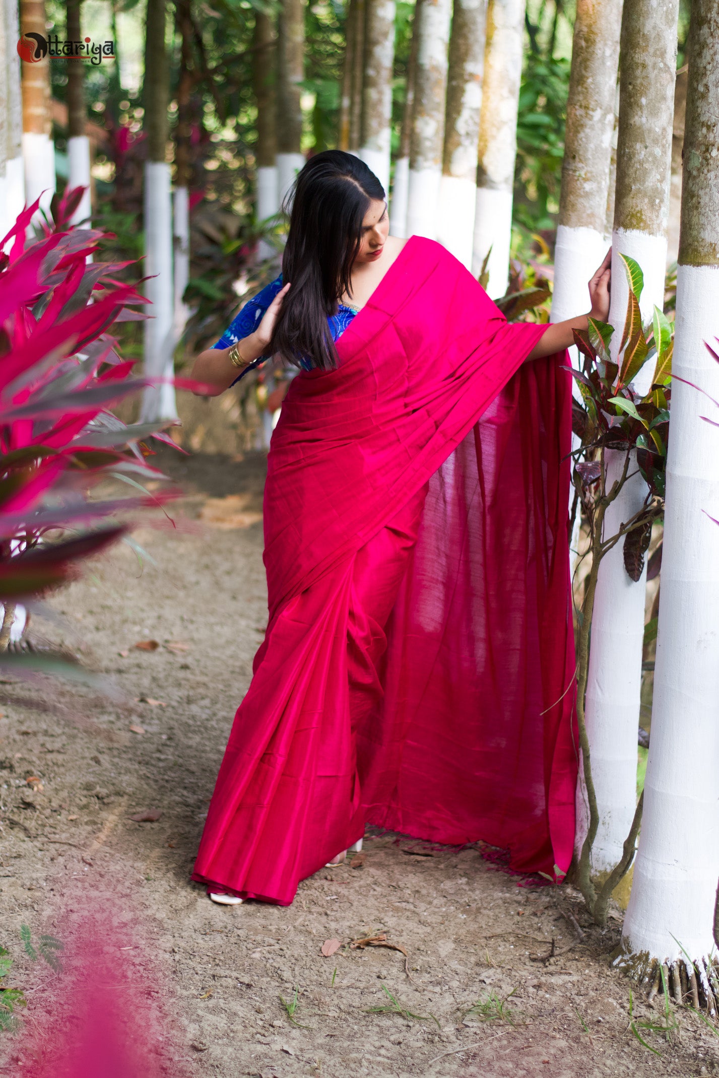 Pink Sitara Saree