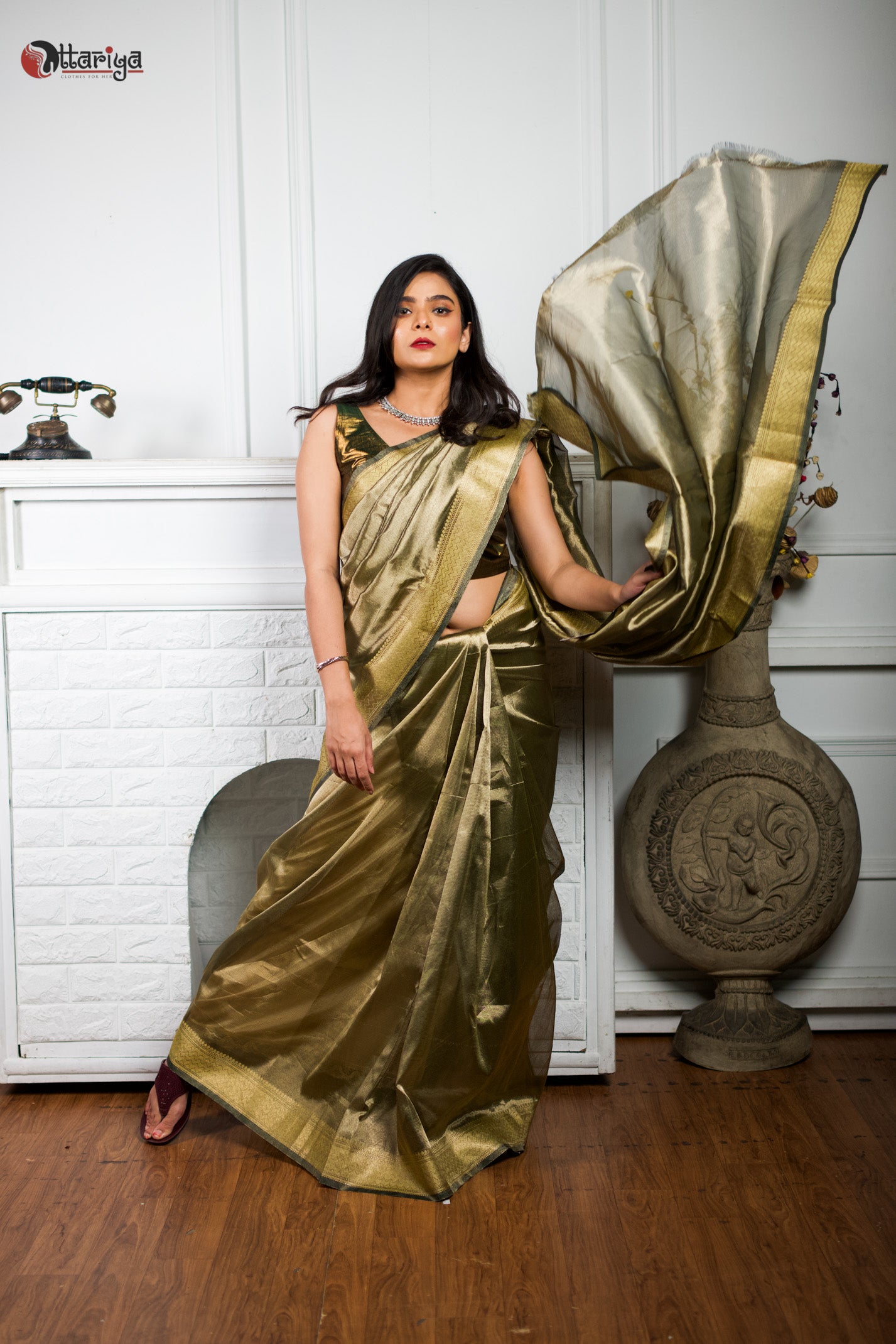 Buy Gold(Single Tone)- Tissue Saree online | Tissue from ShrusEternity