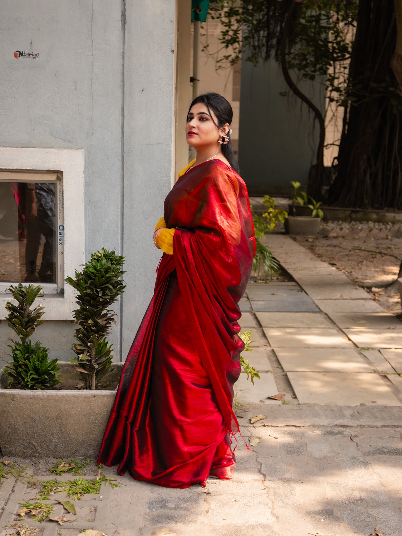 Red Beet  tissue silk Saree