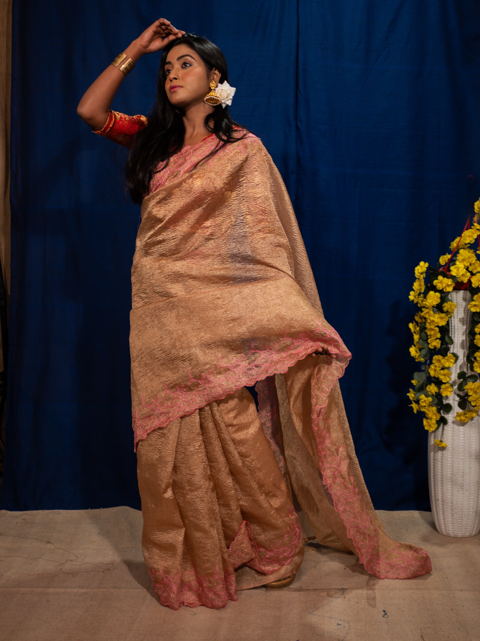 Tissue silk Saree