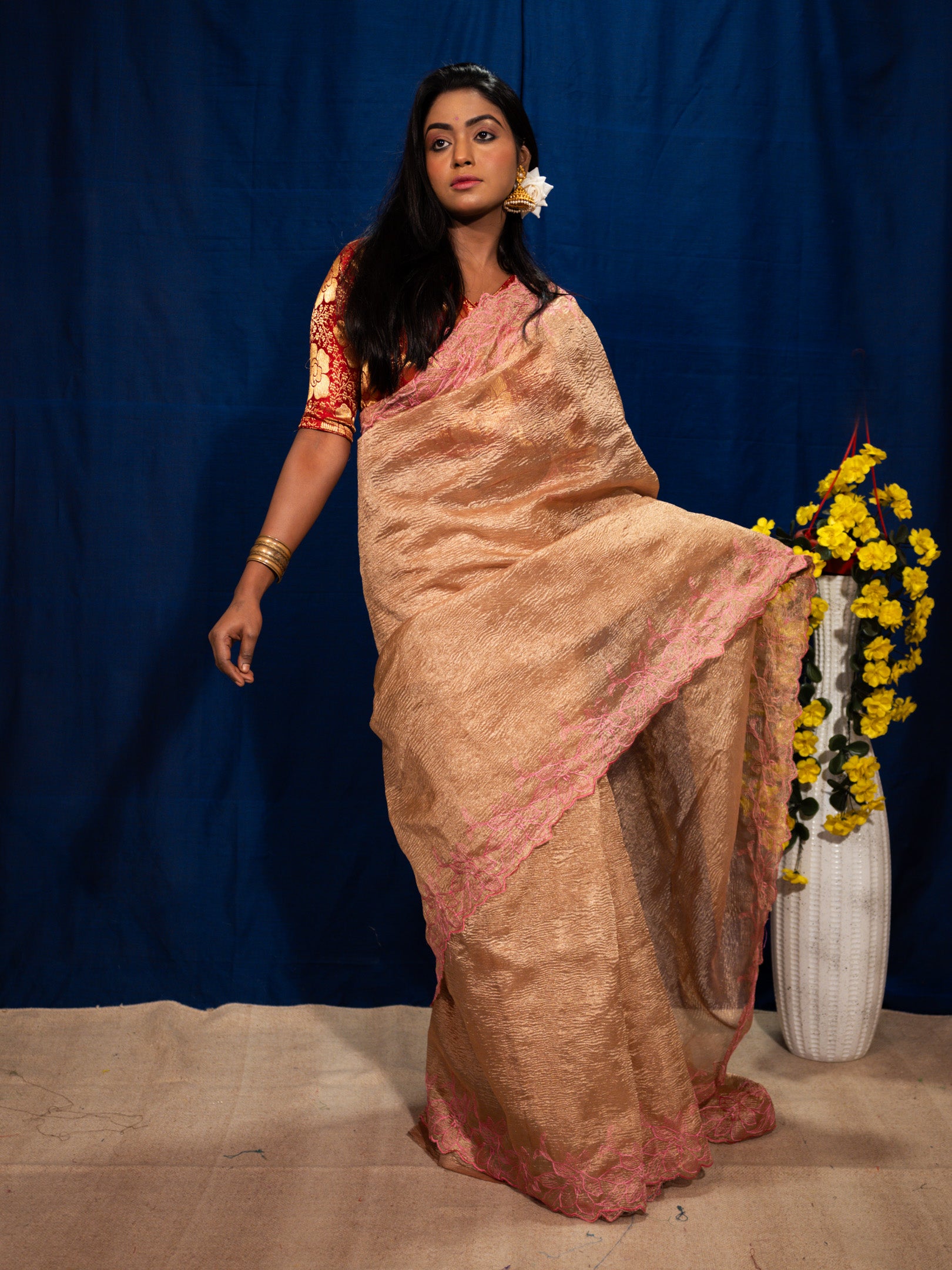 Tissue silk Saree