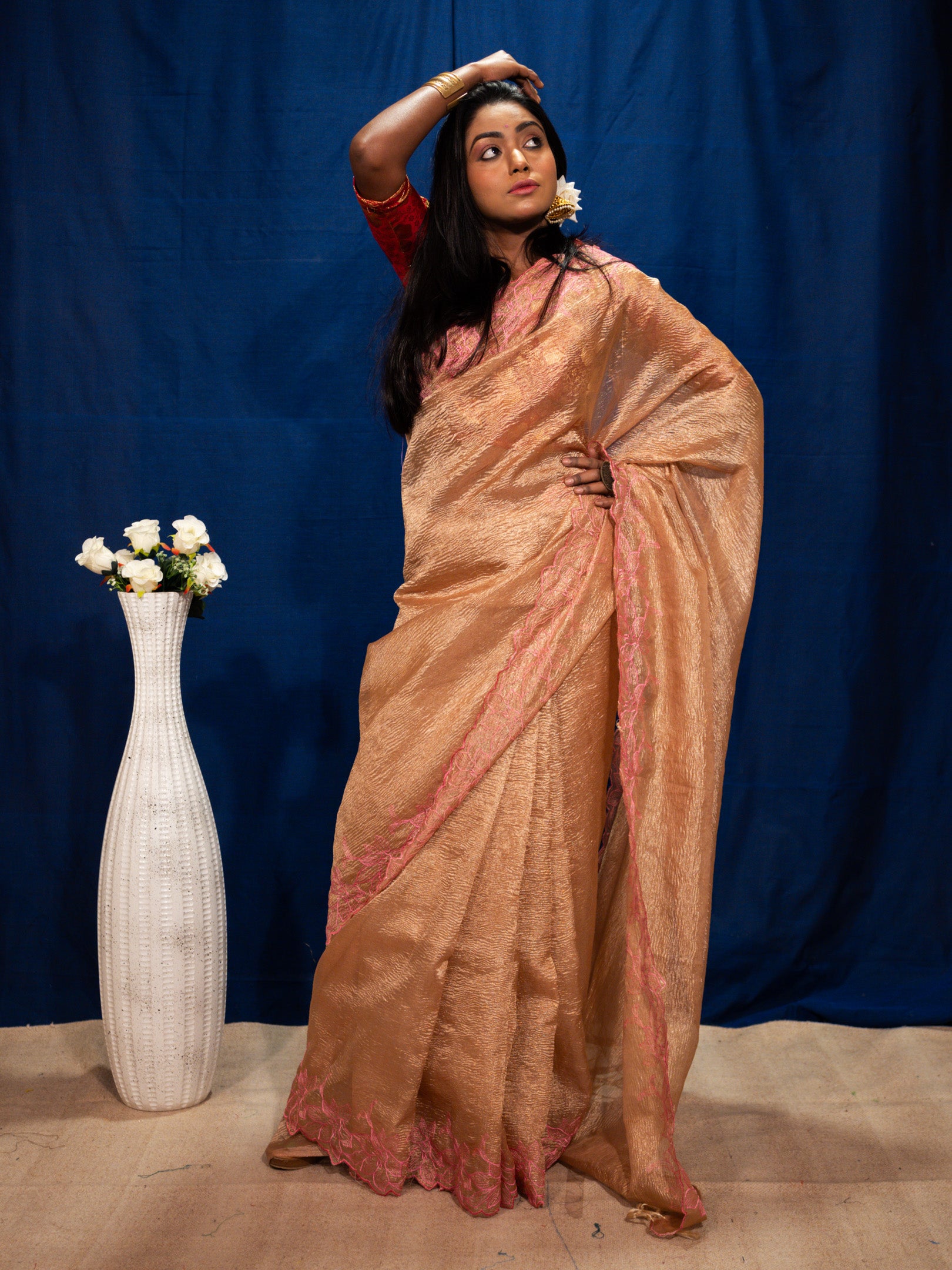 Tissue silk Saree