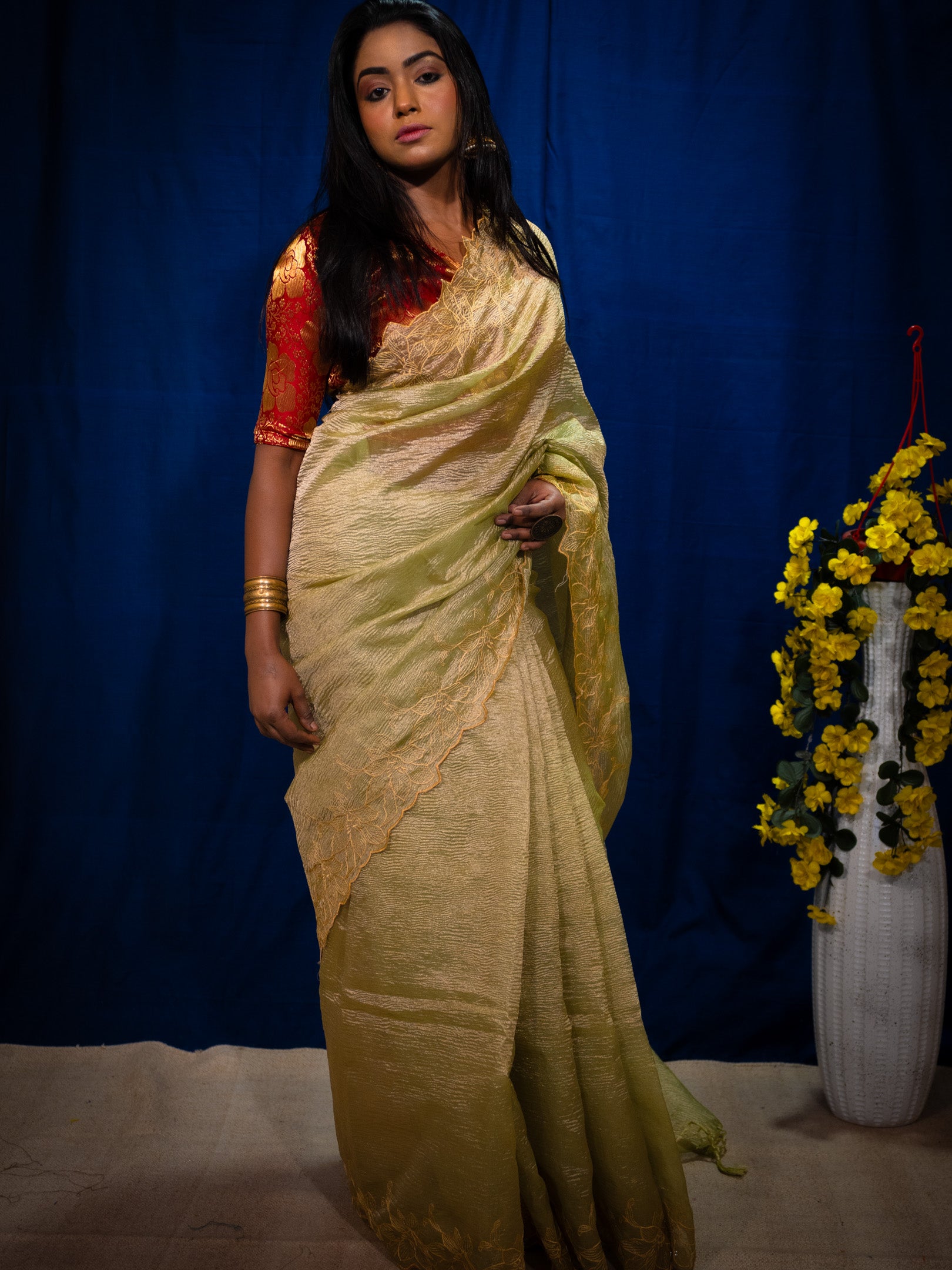 Tissue silk Saree