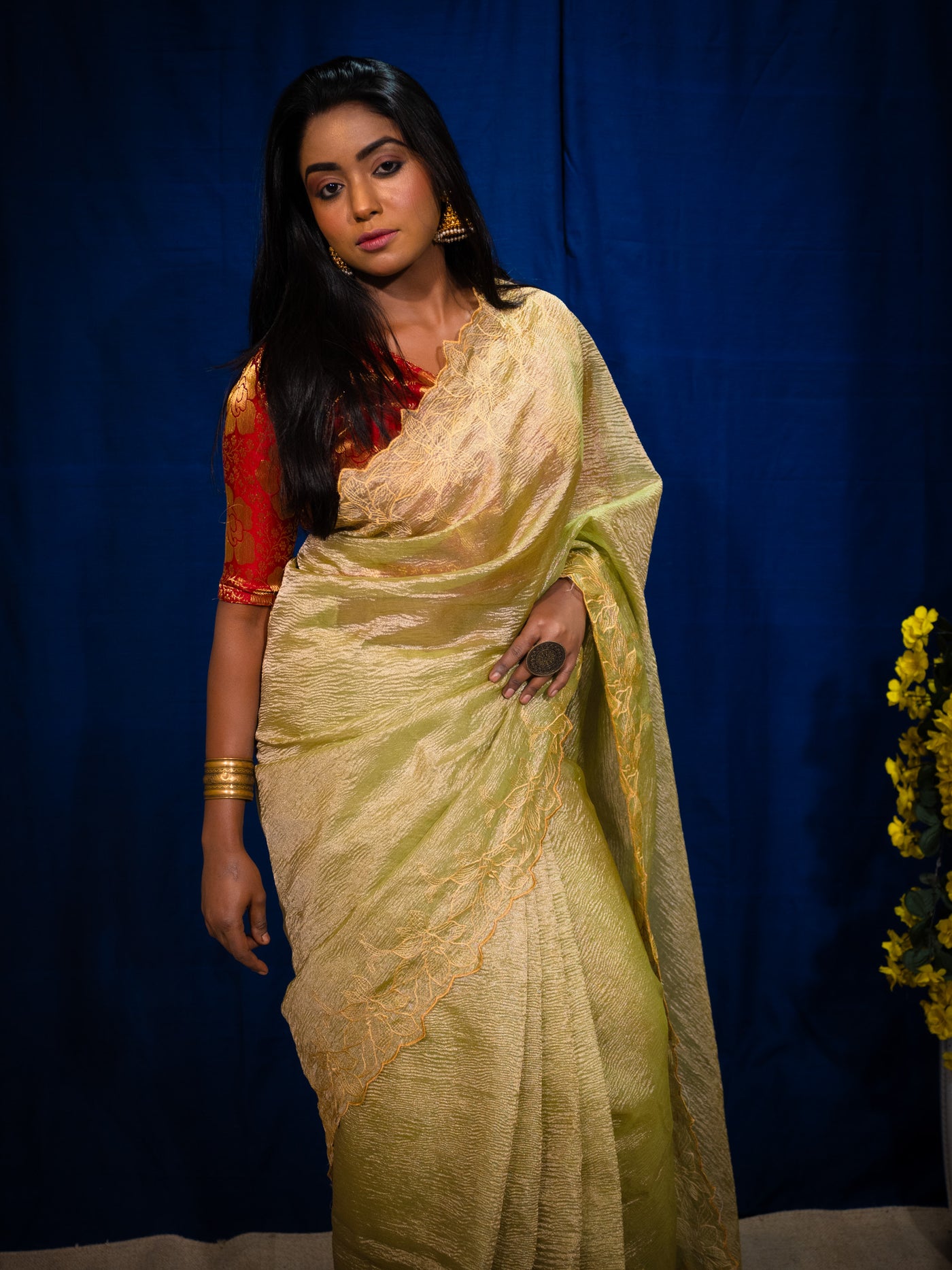 Tissue silk Saree