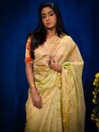 Tissue silk Saree