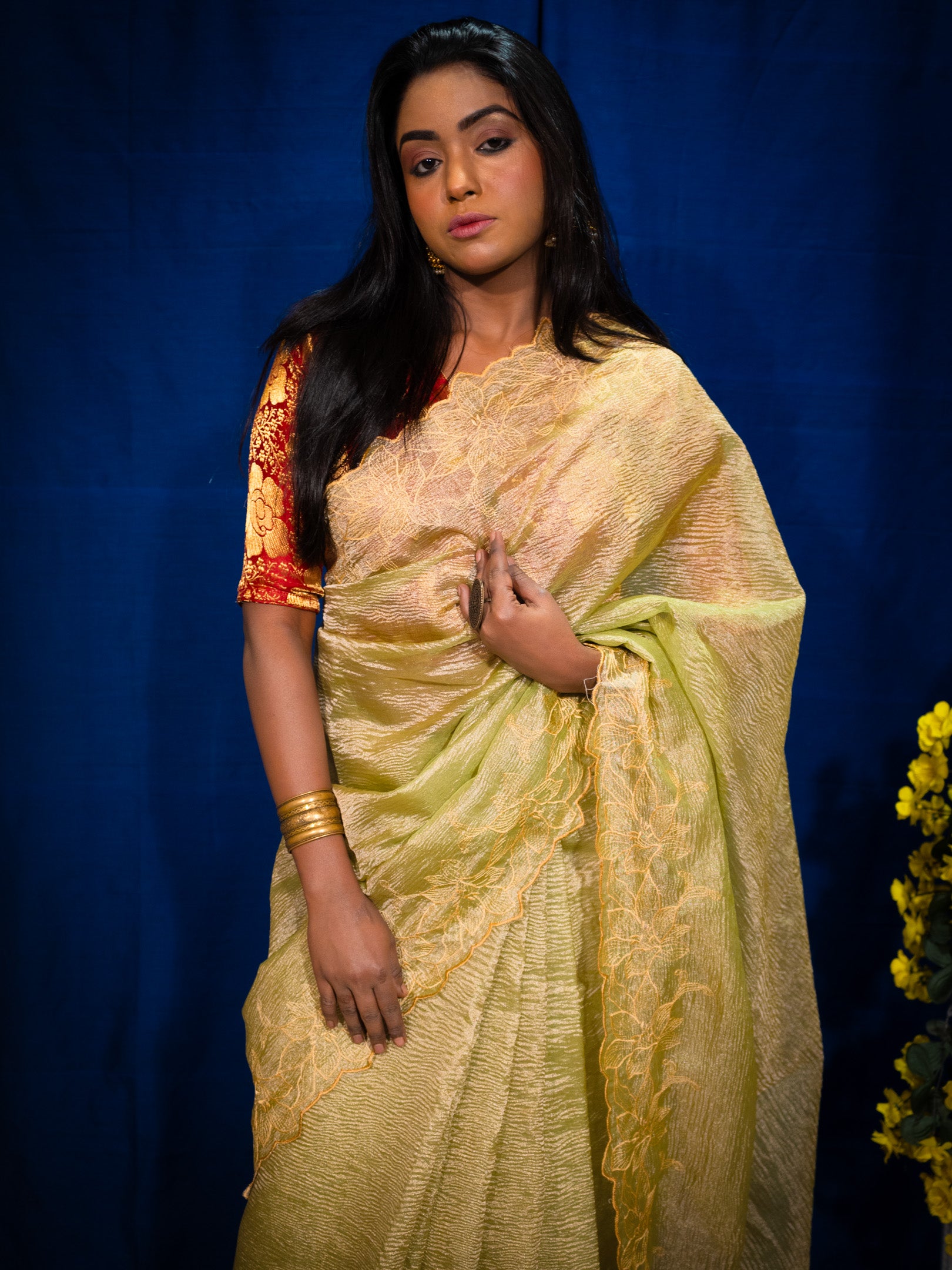 Tissue silk Saree