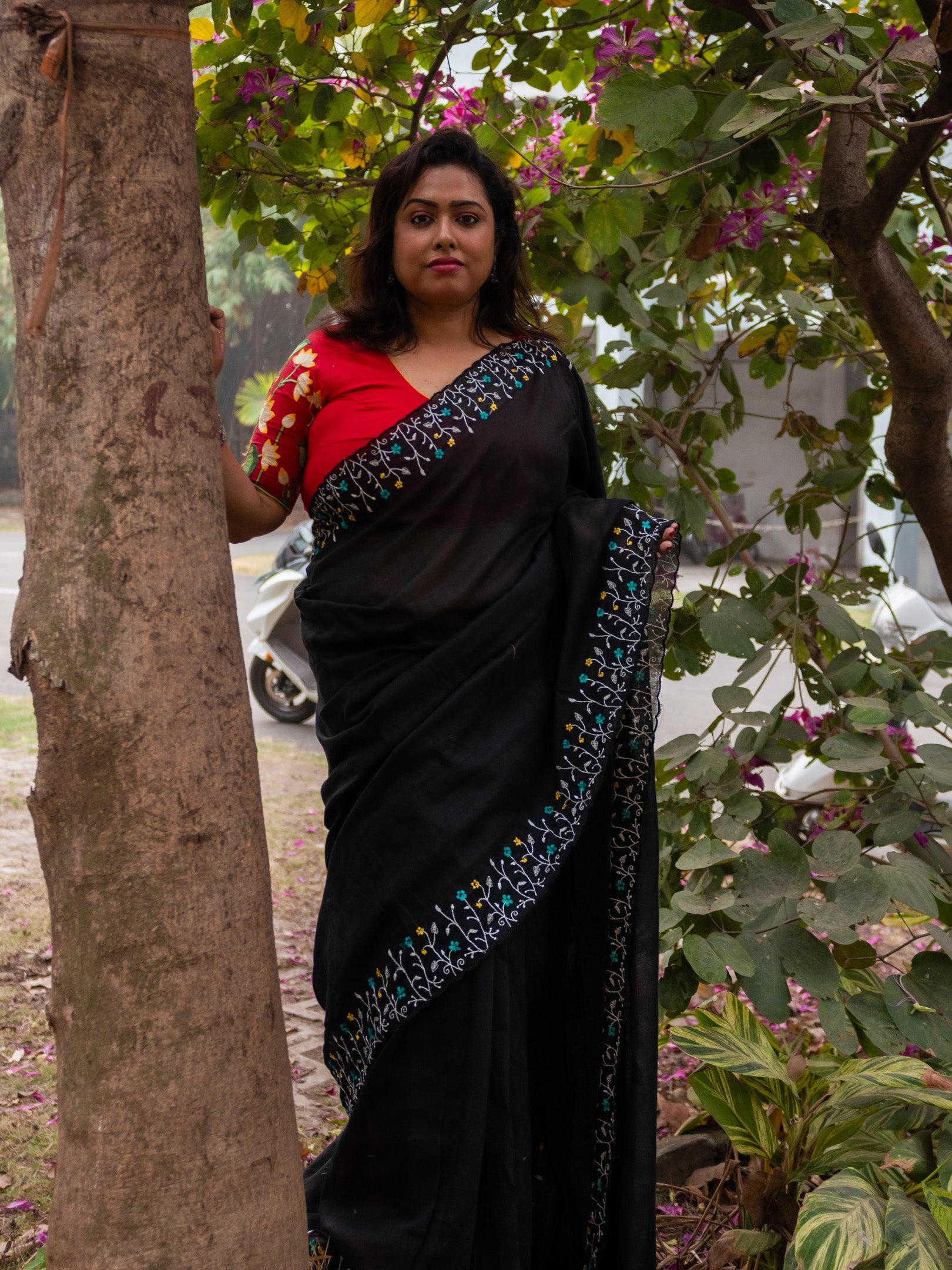 Bagicha Saree