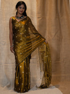 Sitara glam Saree