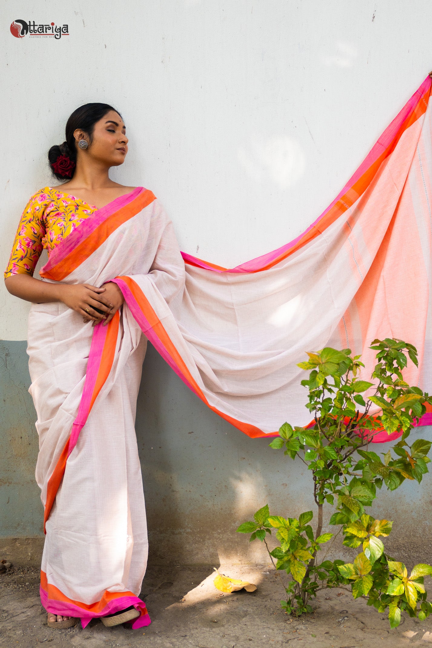 Chandan Cotton Saree