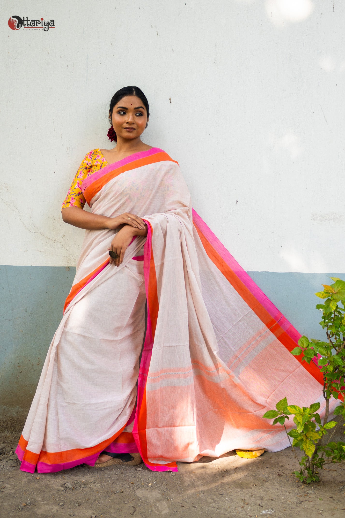 Chandan Cotton Saree