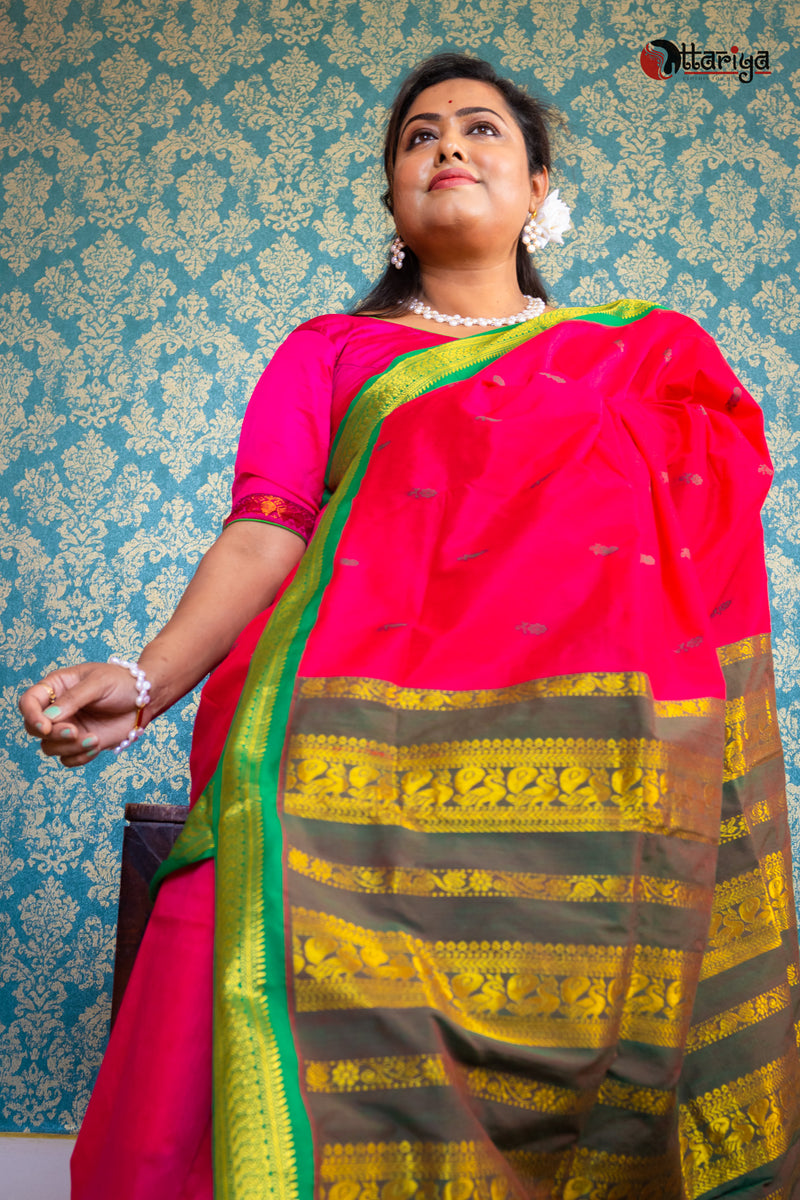 Rani Kanchi Saree