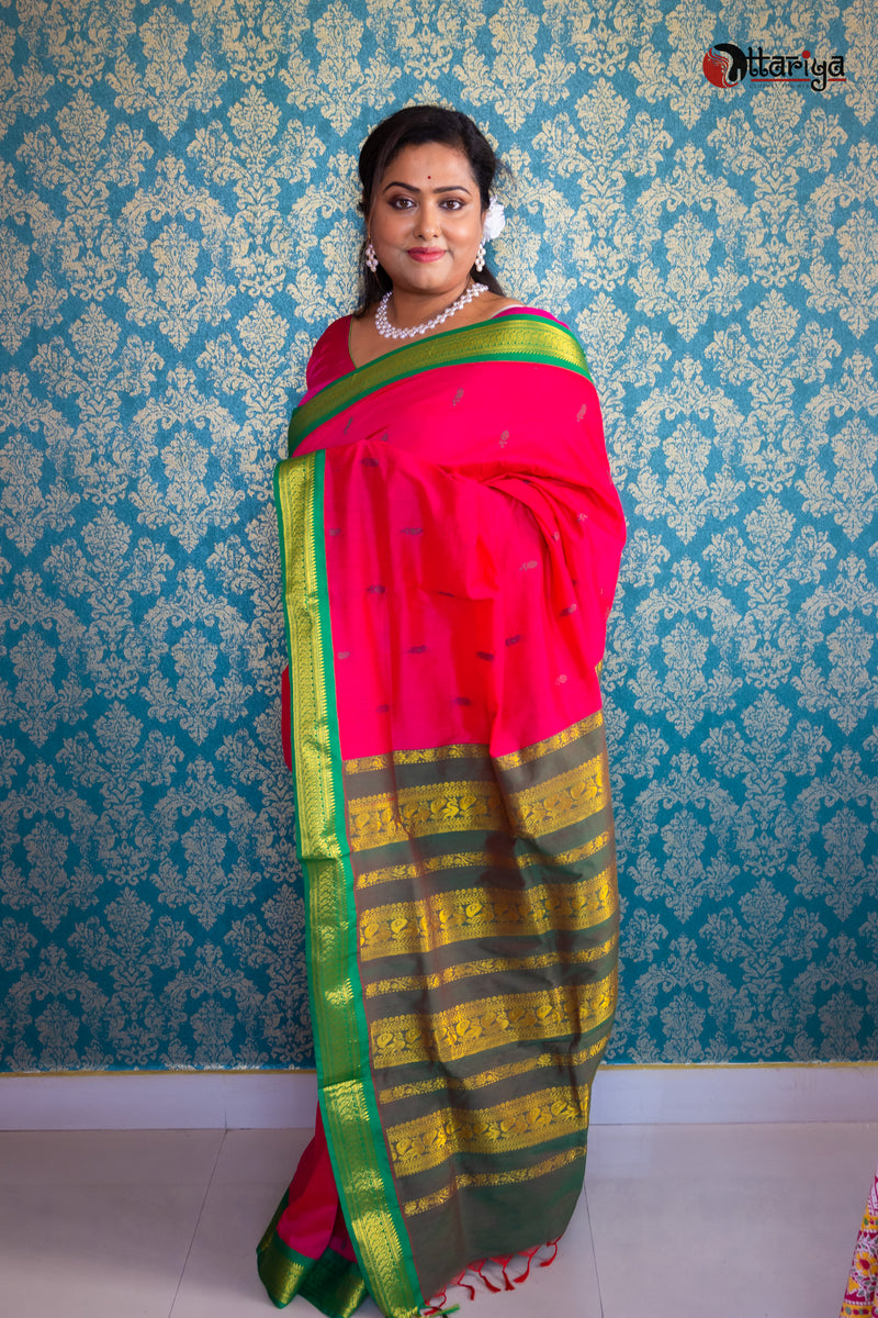 Rani Kanchi Saree