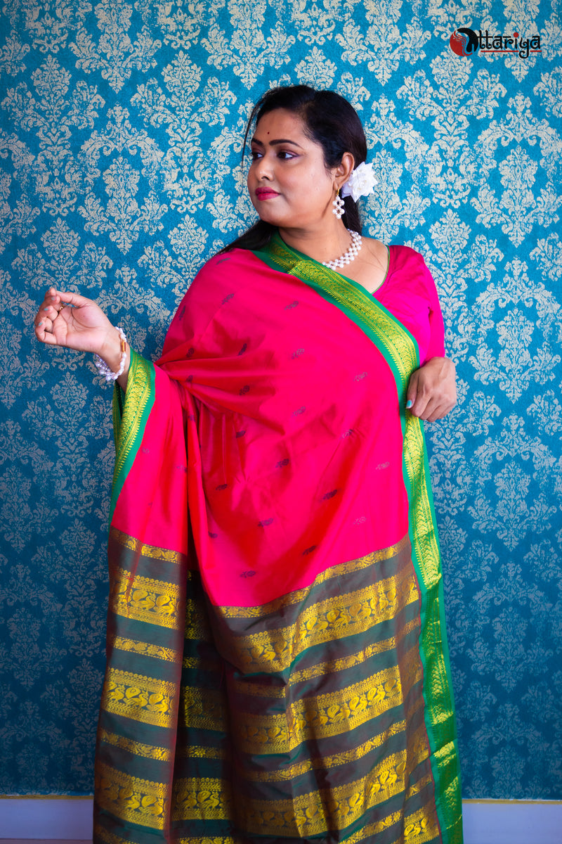 Rani Kanchi Saree